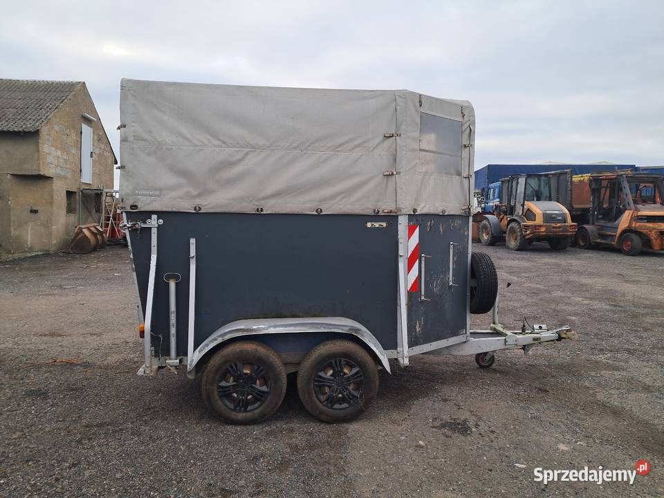 Przyczepa do koni 2 Mogilno sprzedam