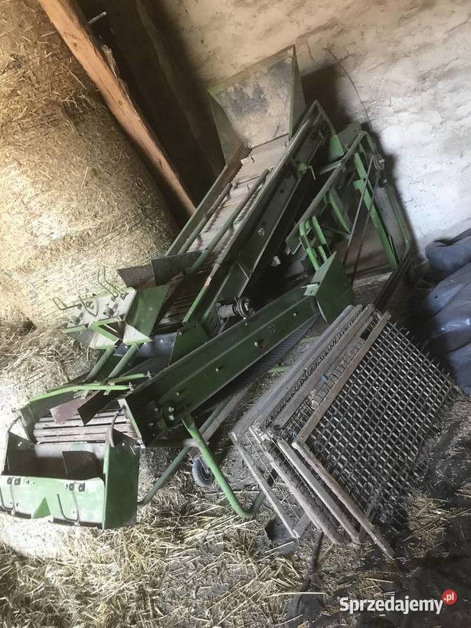 Sortownik amazone Opatówek