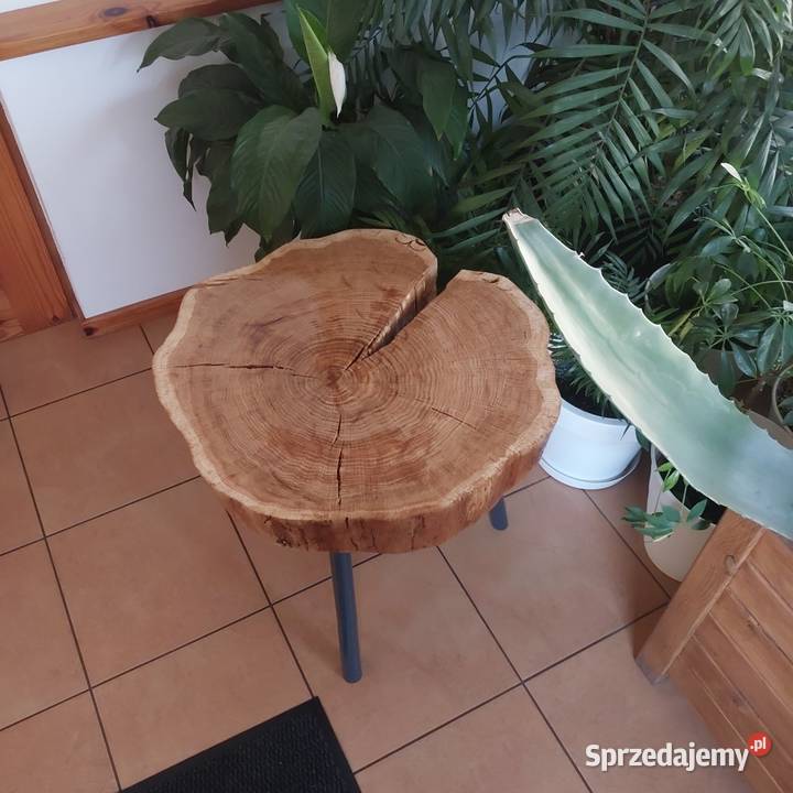 Stolik kawowy z plastra dębu Walewice