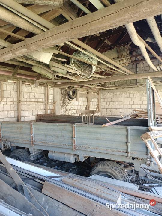 Rozrzutnik Czarna Białostocka