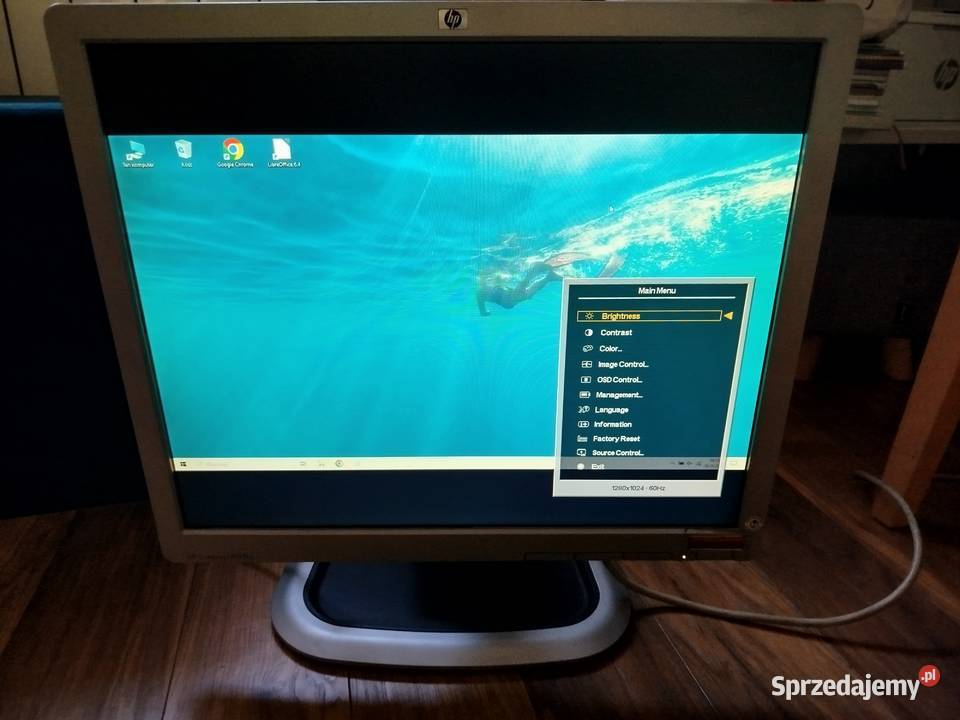 Monitor 19 DELL LA1951g VGA DVI USB Stan Monitory i projektory Oświęcim