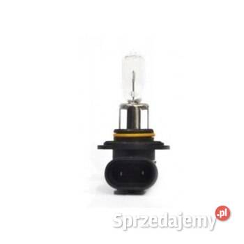 Żarówka halogenowa HB3 12V 65W 9005 AMIO 1 E8 Poznań