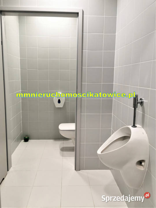 Magazyny do wynajęcia śląskie Katowice A4 0