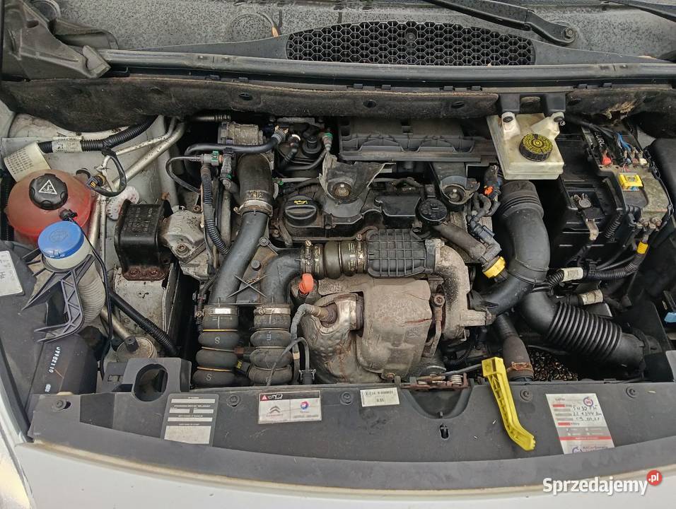 Citroen Berlingo Śmieszkowo