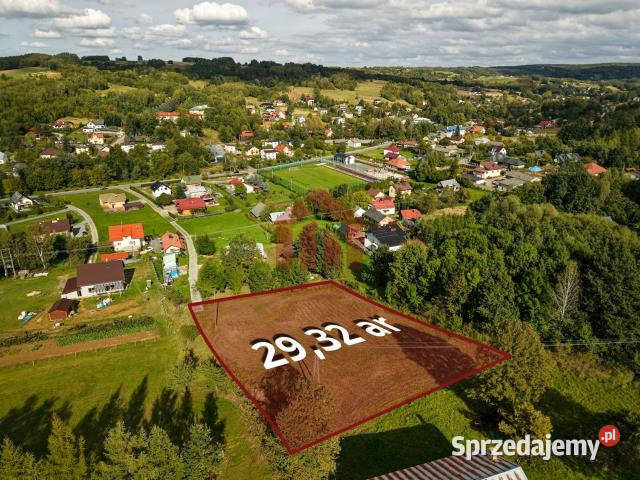 Grunt Lubenia 2932m2 Sprzedaż