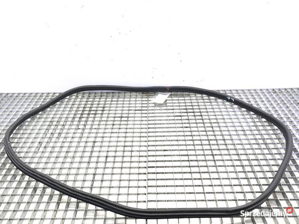 USZCZELKA DRZWI TYŁ LEWA BMW G01 SUV 7393449