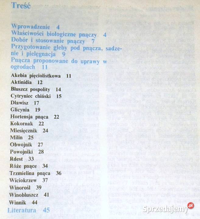 Pnącza ozdobne w ogródku Bluszcz powojnik M Chełm sprzedam