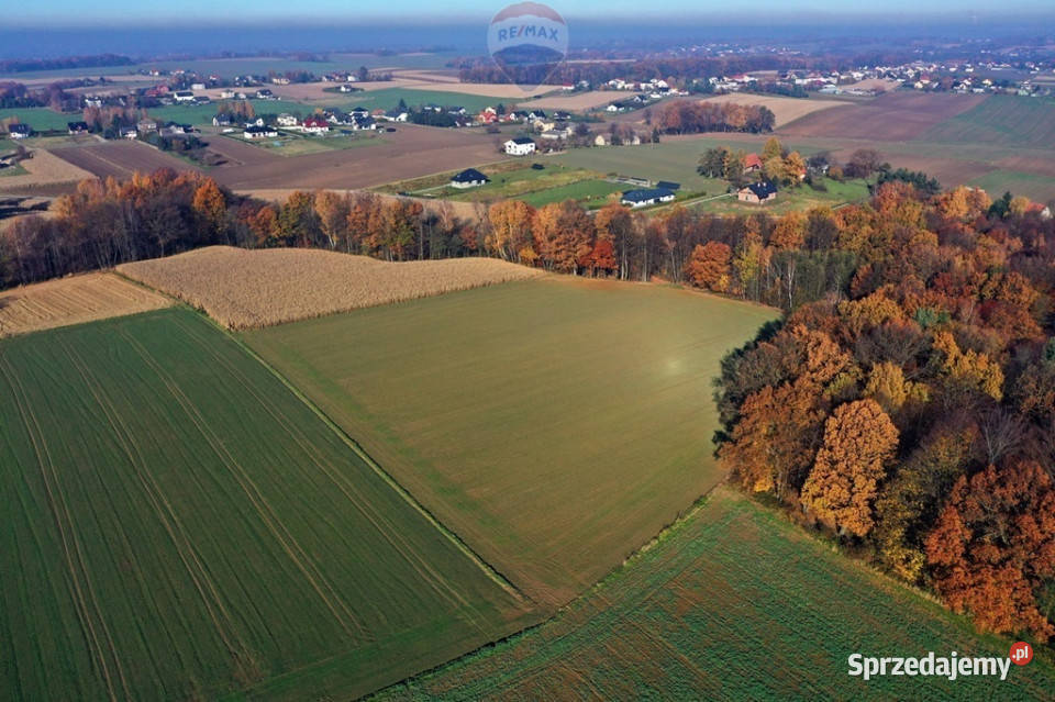 Działka rolna Witkowice asfalt Nieruchomości sprzedam