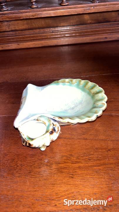 Paterka muszelka Popielniczka Porcelana O wys 3