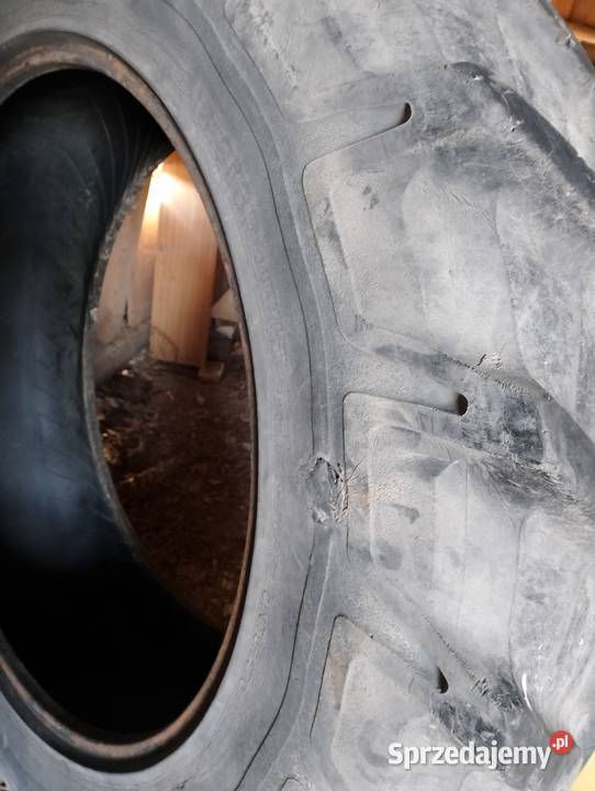 Opona pirelli 16938 Dąbrowica