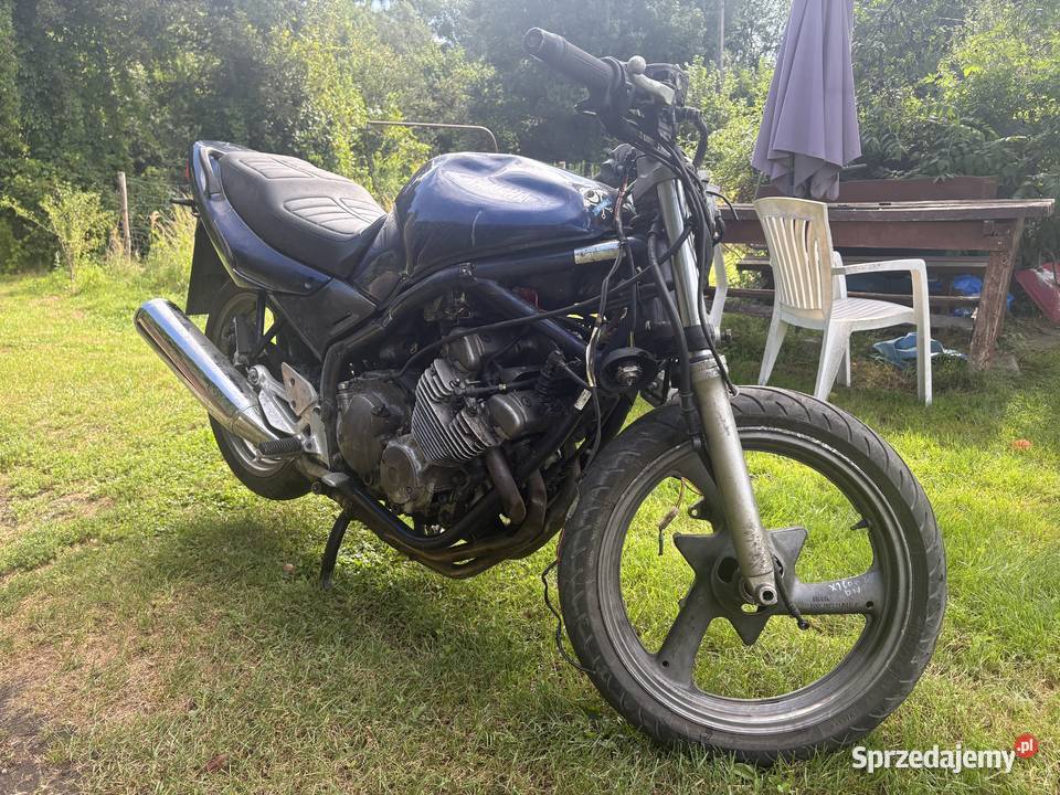 Yamaha XJ600 Leśna