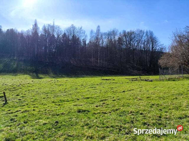 Działka 5305m2 Piechowice dolnośląskie