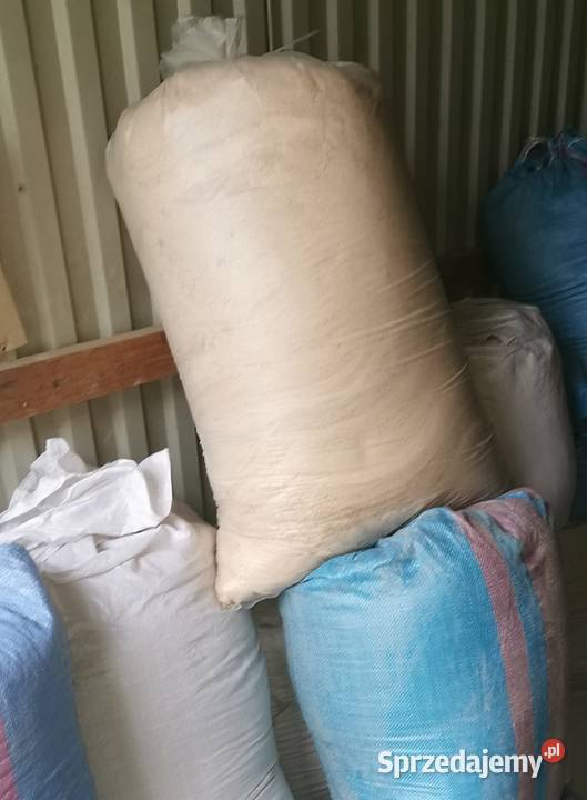 Trociny bukowe sprzedam