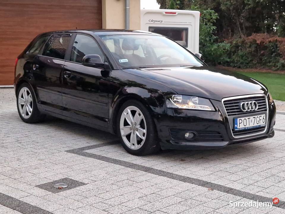 Audi A3 8P 20 TDI 140 Lift ŁADNA 2000cm3 Motoryzacja Kluczbork