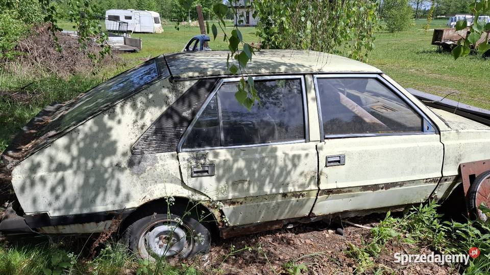Polonez Borewicz mazowieckie Sadowne