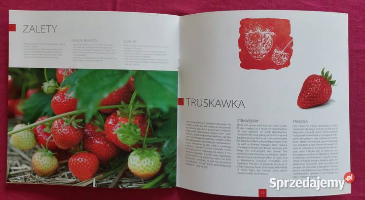 Folder Poczta Polska Światowa wystawa EXPO 2015