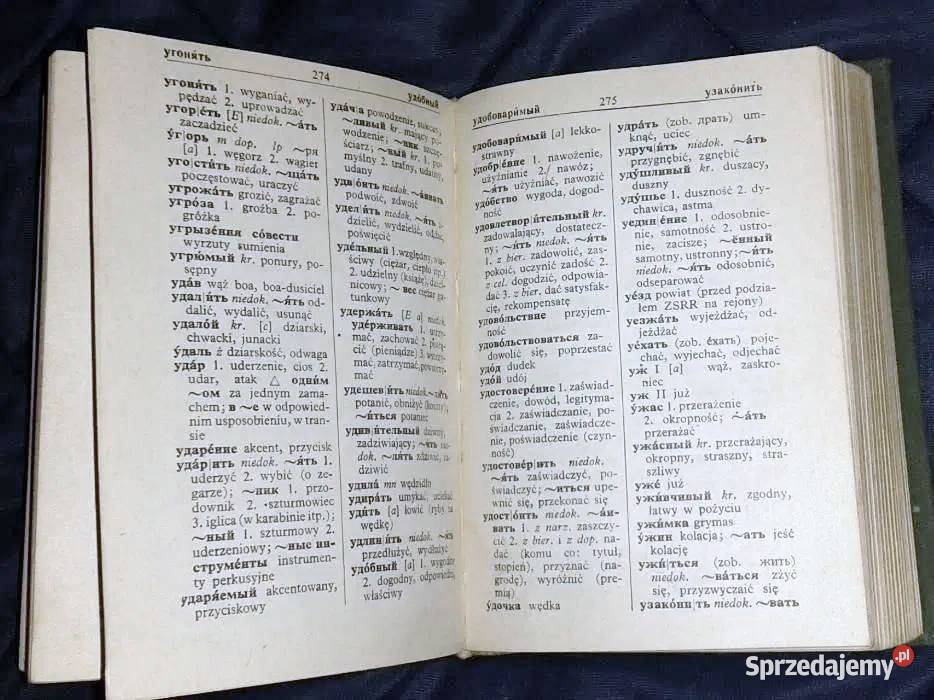 Mały słownik rosyjskopolski i polskorosyjski A