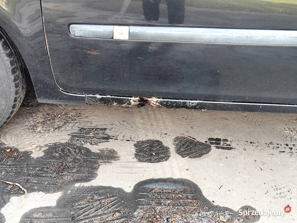 Renault Clio 3 benzyna Gdańsk