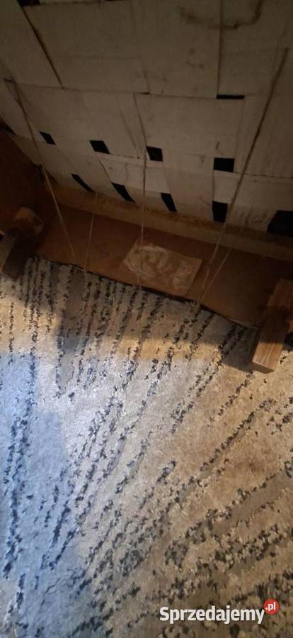 RARYTAS Fotel DOROTA ZEFAM PRL Autentyk z Zielona Góra