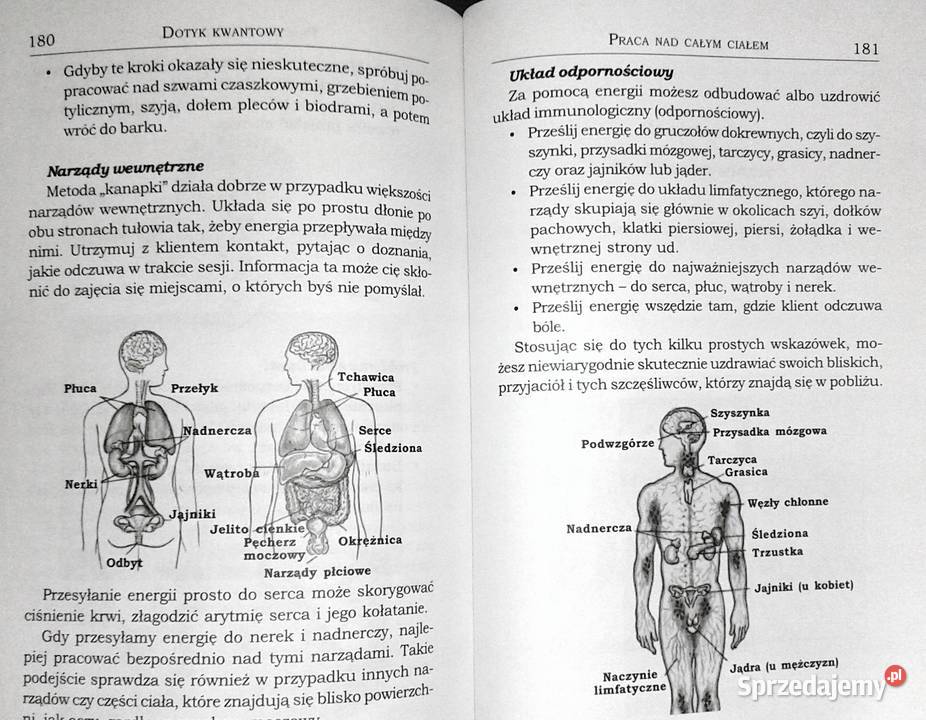 Dotyk kwantowy Uzdrawiająca moc dłoni Richard Chełm