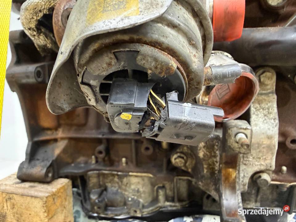 SILNIK Ford Kuga 20 TDCI 140 oryginalna kuga Chełm