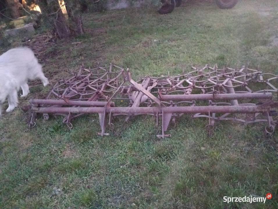 Sprzedam Brony nieuszkodzony Centawa