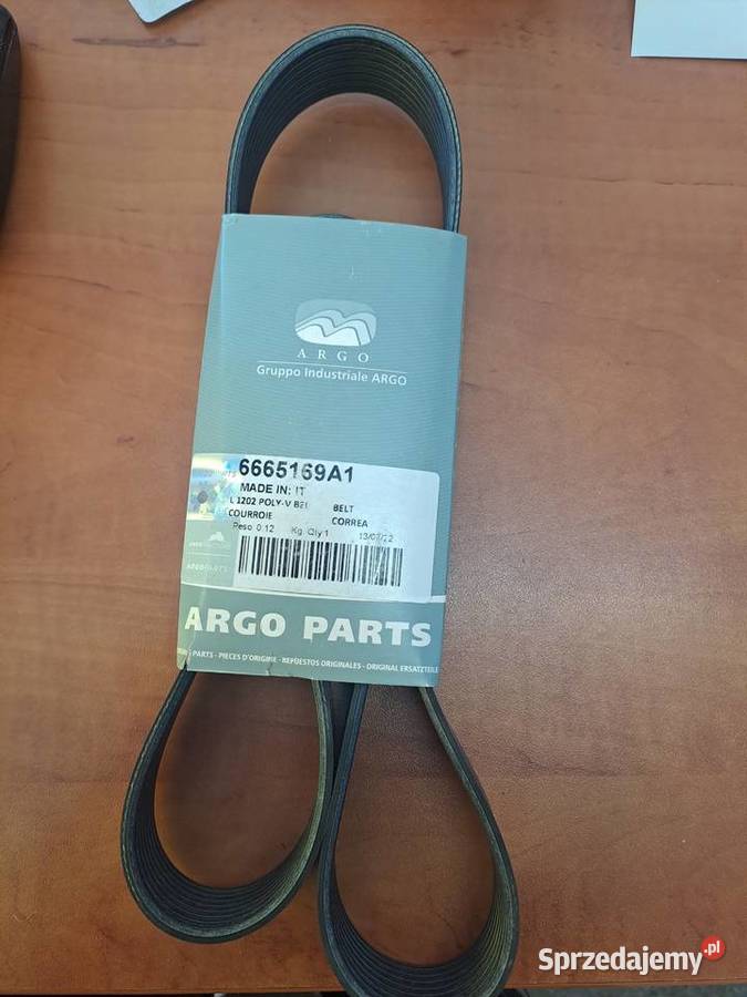 6665169a1 pasek alternatora McCORMICKLANDINI