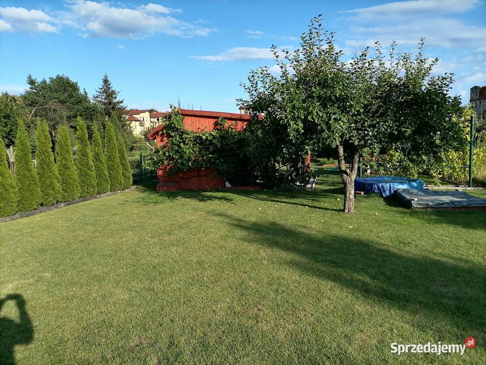 Działka ROD Fiołek Wrocław