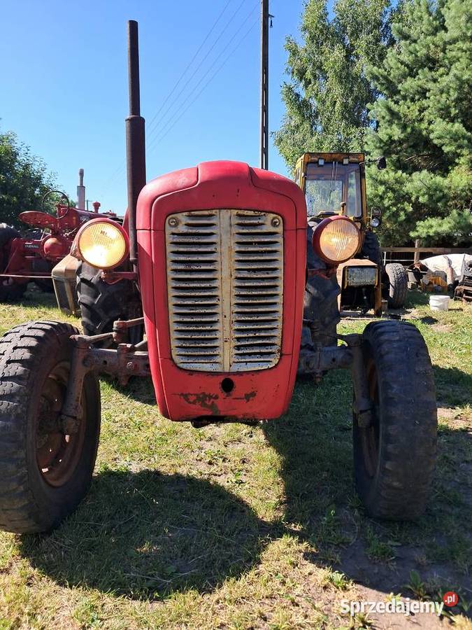 Massey ferguson Gniewkowo