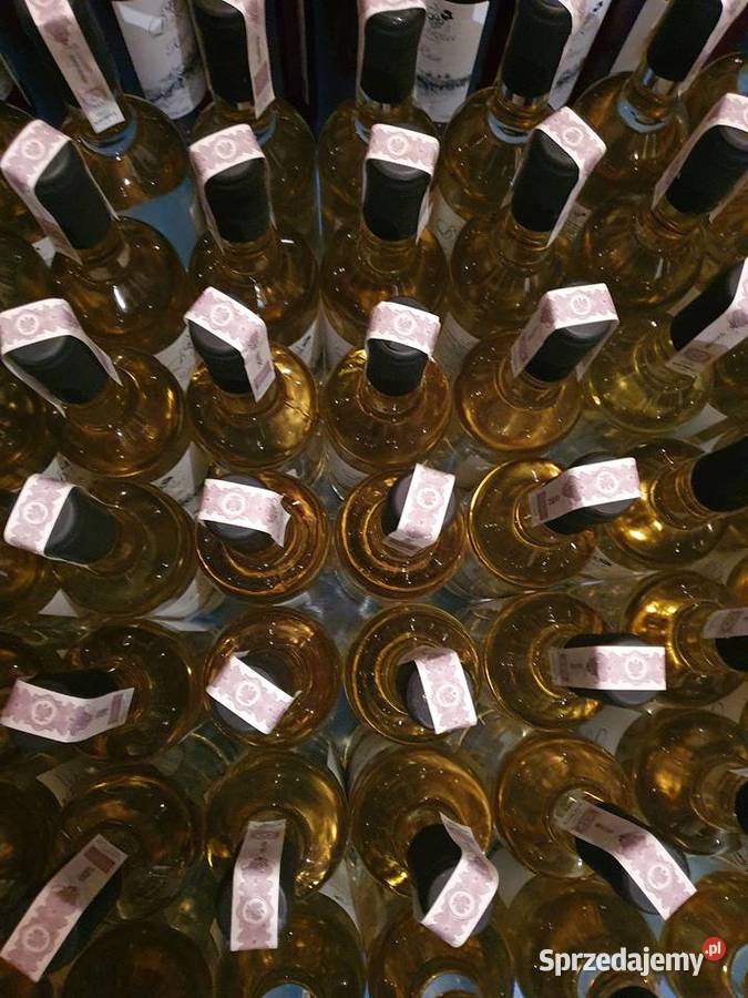 Funkcjonująca Winnica z infrastrukturą i Gwoźnica Górna