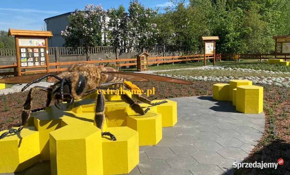 Pszczoła Edukacyjna 250 ścieżka edukacyjna Warszawa