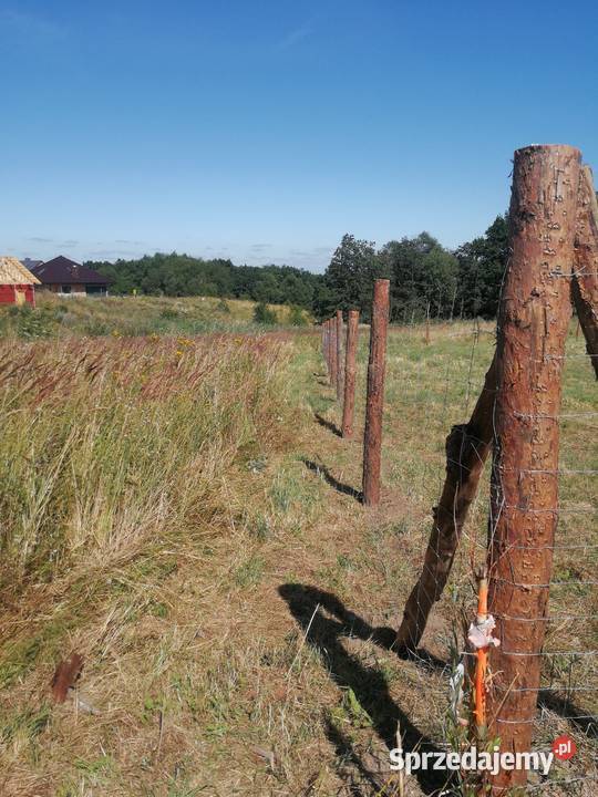 Ogrodzenie z siatki leśnej budowlane tymczasowe zachodniopomorskie Szczecin