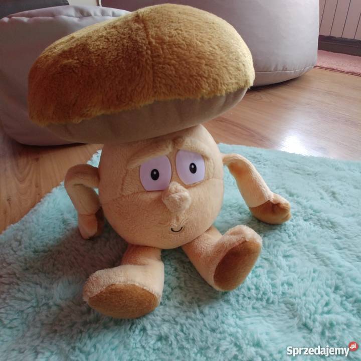 Pieczarka Piotrek Świeżak sprzedam