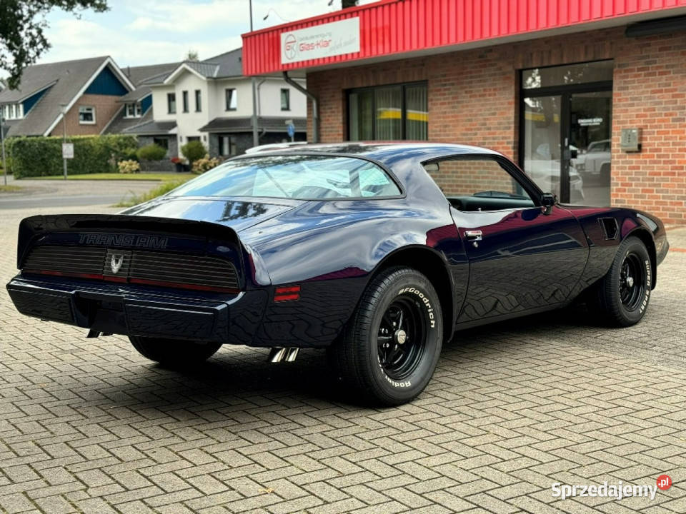 Pontiac Firebird Trans Am MIDNIGHT BLUE 1981 do benzyna Sulechów sprzedam