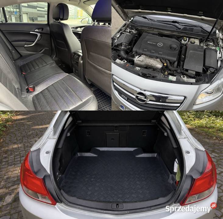 Opel Insignia A 20 CDTI 160 OPC Line 160KM Zgorzelec
