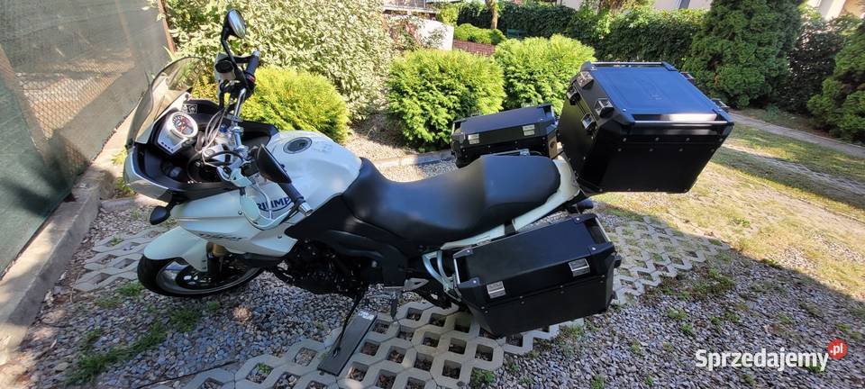 Triumph Tiger lubelskie Lublin