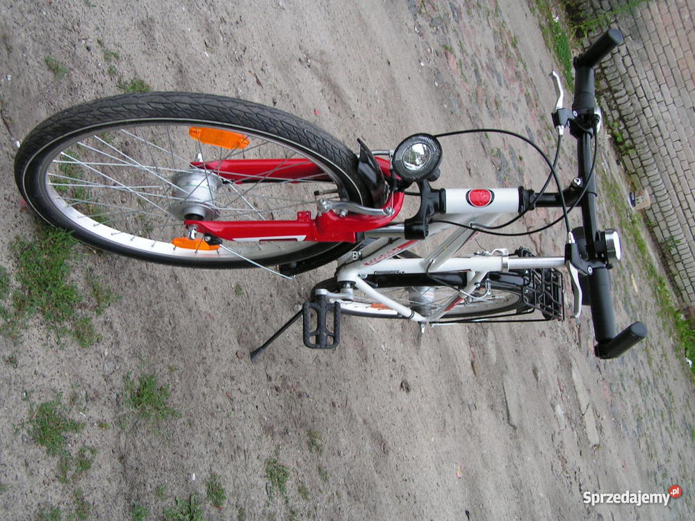 rower miejski pegasus 24