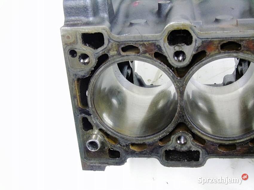 BLOK 18 16V VECTRA C ZAFIRA ASTRA H SIGNUM Sosnowiec