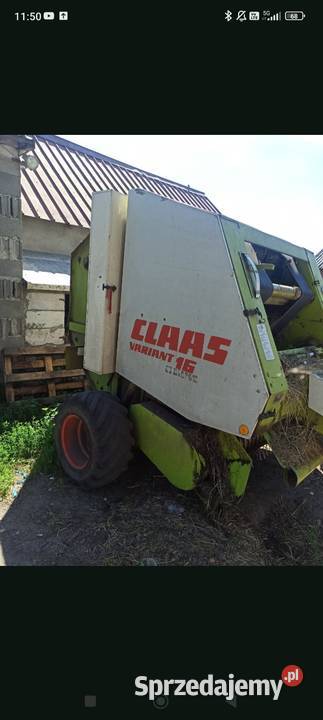 Sprzedam prase Claas variant Raciąż