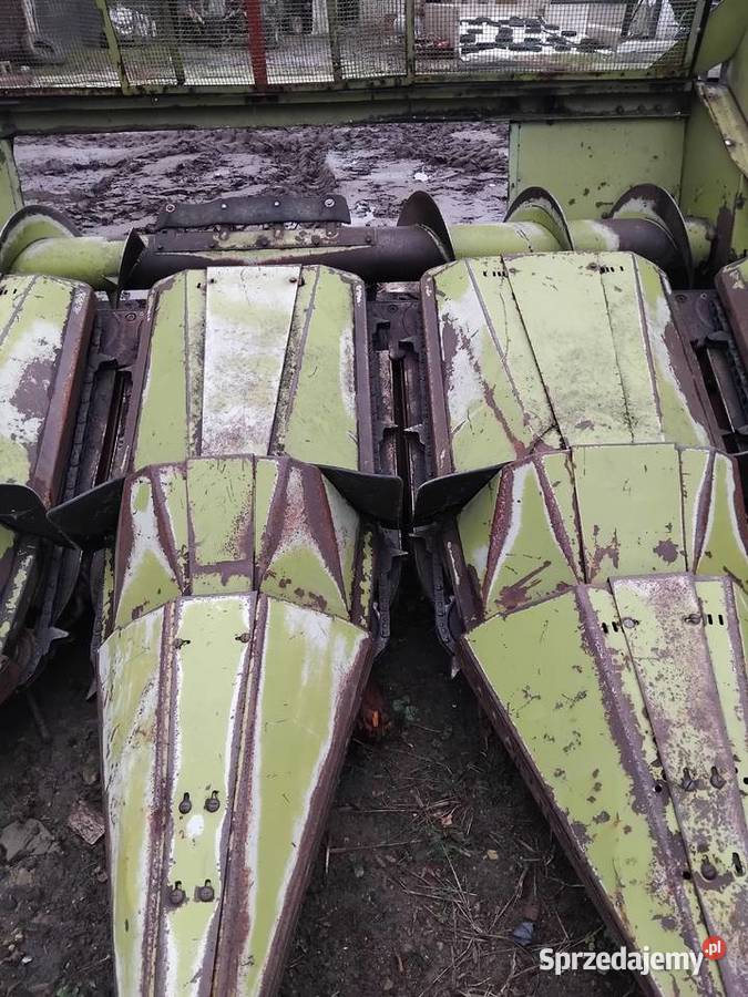 Stół do kukurydzy Class 4rzędowy nieuszkodzony Zbożowe lubelskie Borzechów