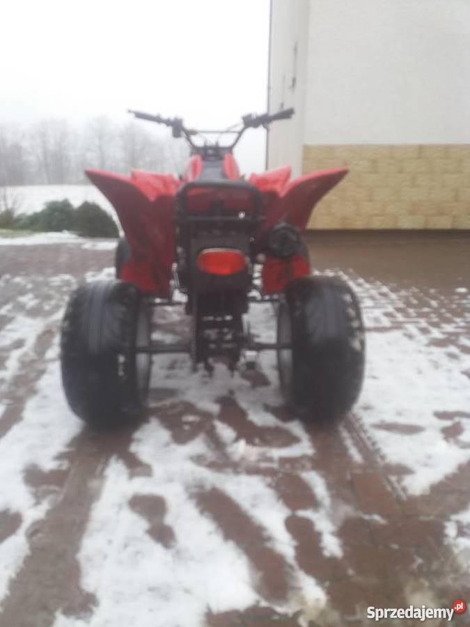 Quad 250 Bashan Sierakowice