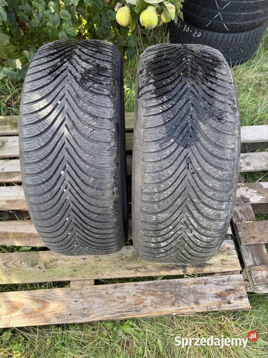 Michelin Alpin5 2255517