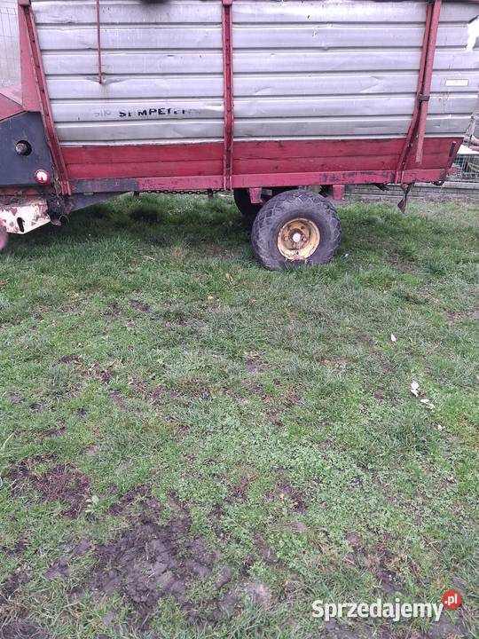 Samozbierająca SIP uszkodzony Pozostałe Pozostałe Klonowa