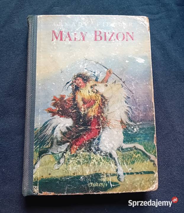 Arkady Fiedler Mały Bizon Iskry 1953 r Wydanie Koźminek