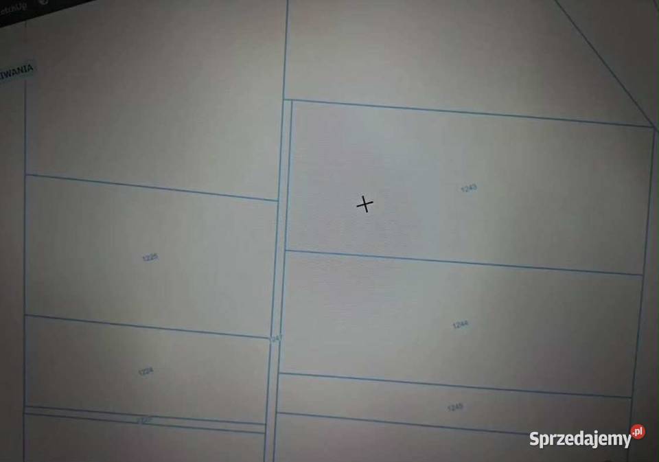 Dwie łąki na sprzedaż Lądek 48zł/m2