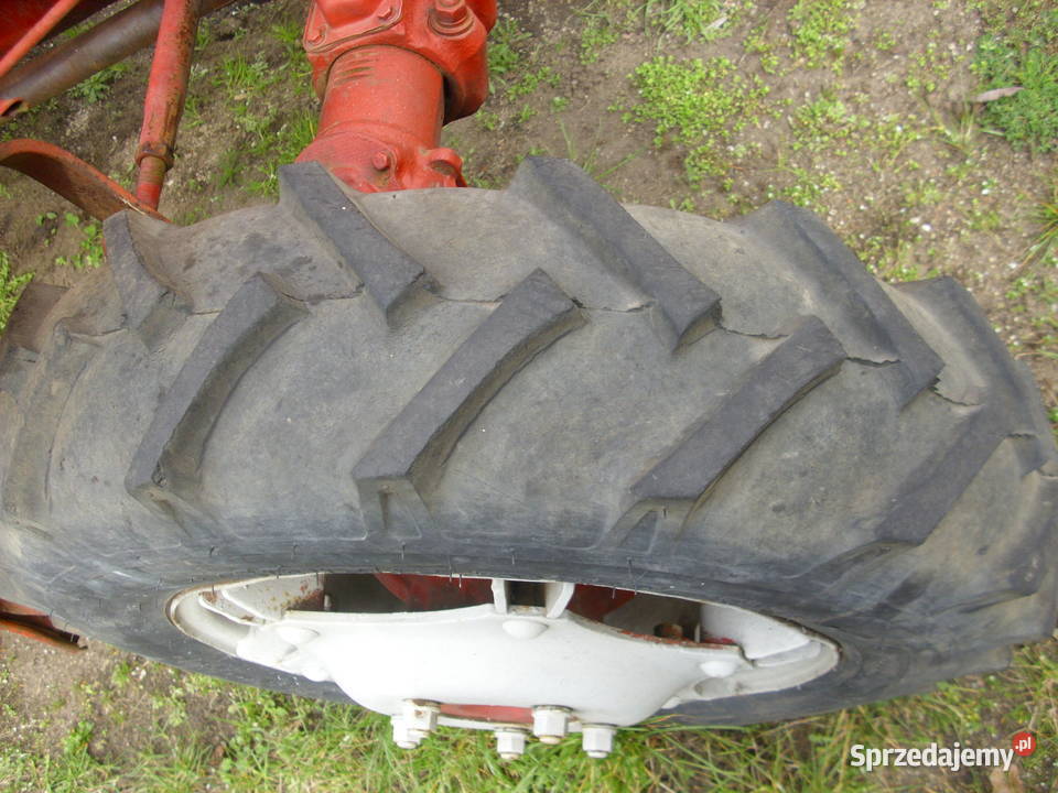 Ciągnik MTZ 82 Żary