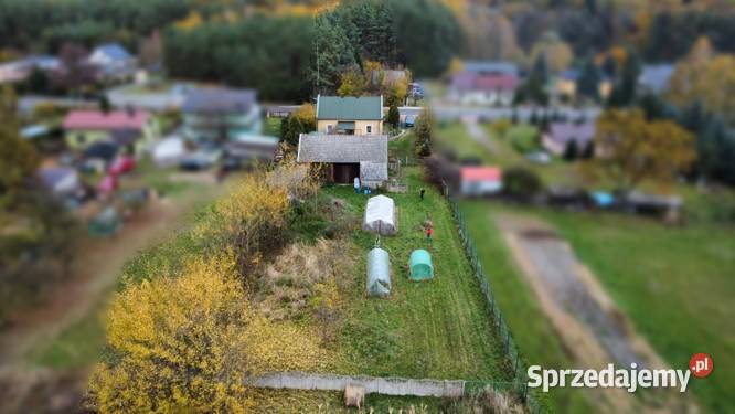 Dom z gospodarstwem 223ha asfalt Annopole Nowe sprzedam