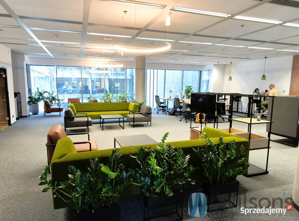 Lokal Warszawa Marszałkowska 100m2