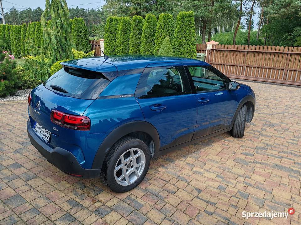 Citroen C4 Cactus kamera cofania Kolonia Zawada
