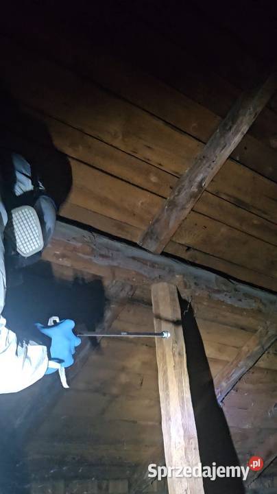 Zabezpieczanie drewna konstrukcyjnego więźby Pozostałe Poznań